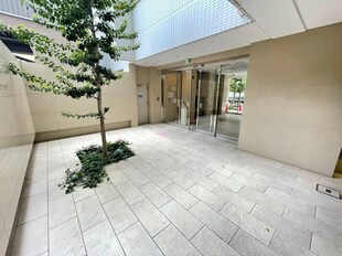 堺筋本町駅 徒歩5分 14階の物件内観写真